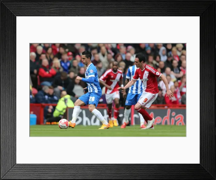 Framed Print : Brighton's Kayal Shines: A Standout Performance in Middlesbrough Showdown, May 2015 Framed Print : Brighton's Kayal Shines: A Standout Performance in Middlesbrough Showdown, May 2015