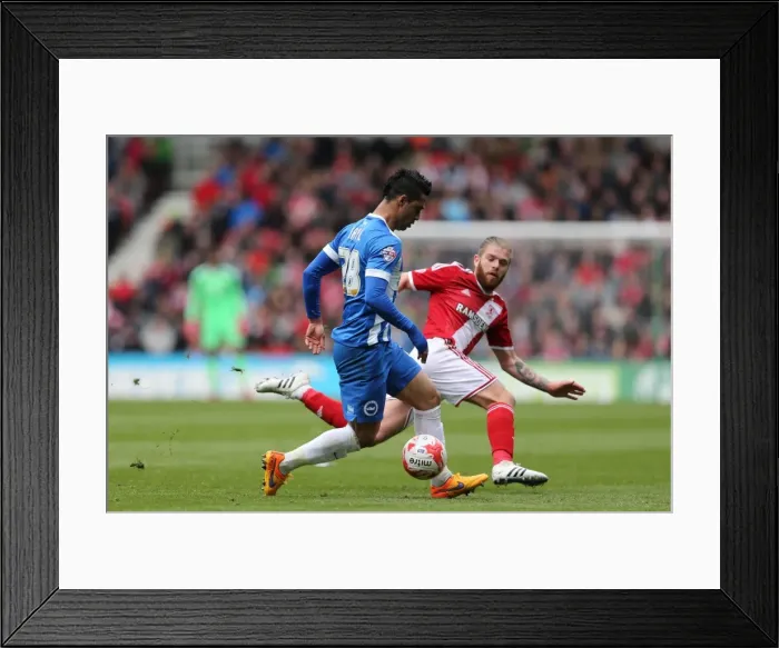 Framed Print : Battling Kayal: Middlesbrough vs. Brighton & Hove Albion, Championship Showdown, May 2015 Framed Print : Battling Kayal: Middlesbrough vs. Brighton & Hove Albion, Championship Showdown, May 2015