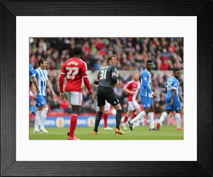 Framed Print : Christian Walton in Action: Middlesbrough vs. Brighton & Hove Albion (May 2015) - Sky Bet Championship Showdown Framed Print : Christian Walton in Action: Middlesbrough vs. Brighton & Hove Albion (May 2015) - Sky Bet Championship Showdown