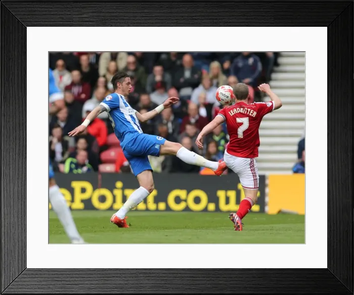 Framed Print : Greg Halford in Action: Middlesbrough vs. Brighton & Hove Albion, Sky Bet Championship, Riverside Stadium, May 2015 Framed Print : Greg Halford in Action: Middlesbrough vs. Brighton & Hove Albion, Sky Bet Championship, Riverside Stadium, May 2015