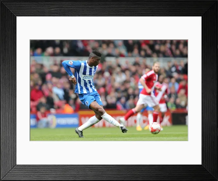 Framed Print : Rohan Ince in Action: Middlesbrough vs. Brighton & Hove Albion, May 2015 Framed Print : Rohan Ince in Action: Middlesbrough vs. Brighton & Hove Albion, May 2015