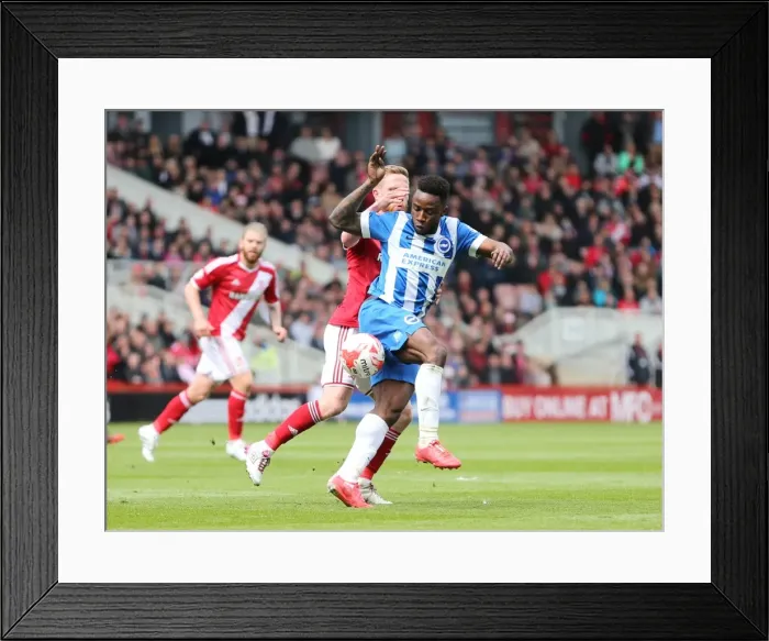 Framed Print : LuaLua in Action: Middlesbrough vs. Brighton & Hove Albion, May 2015 - Sky Bet Championship Showdown Framed Print : LuaLua in Action: Middlesbrough vs. Brighton & Hove Albion, May 2015 - Sky Bet Championship Showdown