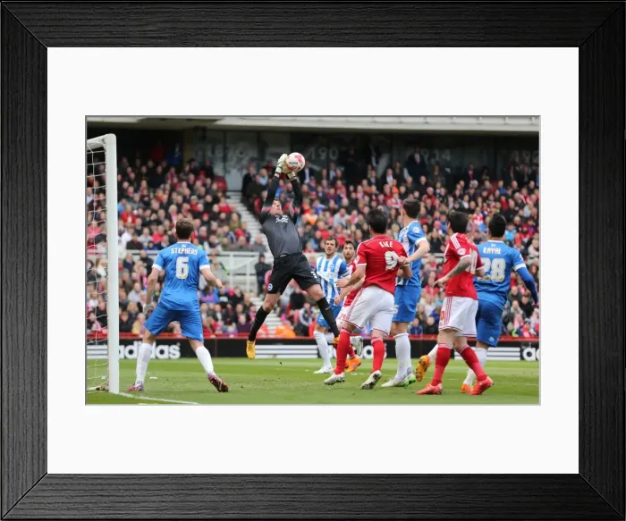 Framed Print : Christian Walton in Action: Middlesbrough vs. Brighton & Hove Albion (May 2015) - Sky Bet Championship Showdown Framed Print : Christian Walton in Action: Middlesbrough vs. Brighton & Hove Albion (May 2015) - Sky Bet Championship Showdown