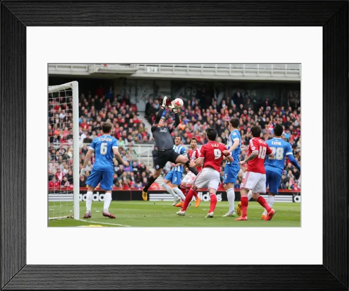 Framed Print : Christian Walton in Action: Middlesbrough vs. Brighton & Hove Albion, May 2015 Framed Print : Christian Walton in Action: Middlesbrough vs. Brighton & Hove Albion, May 2015