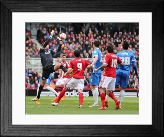 Framed Print : Christian Walton in Action: Middlesbrough vs. Brighton & Hove Albion (May 2015) - Sky Bet Championship Showdown Framed Print : Christian Walton in Action: Middlesbrough vs. Brighton & Hove Albion (May 2015) - Sky Bet Championship Showdown