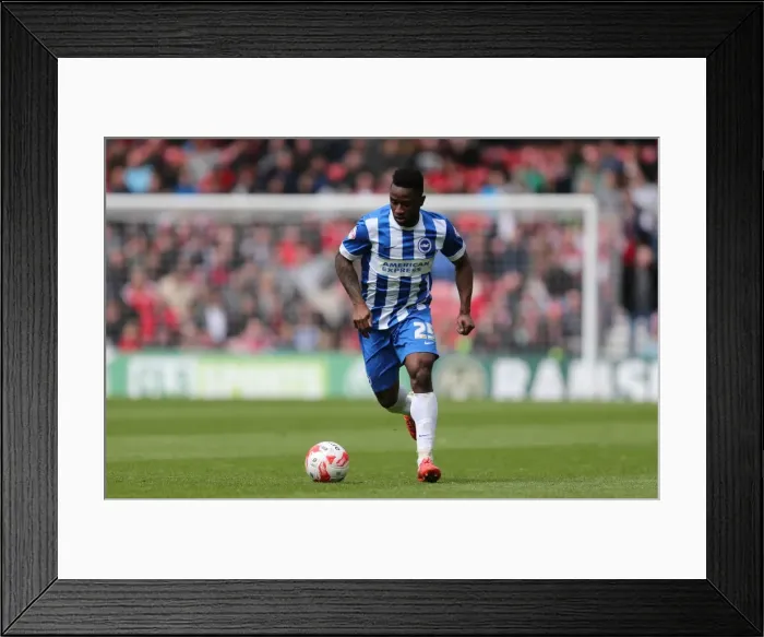 Framed Print : LuaLua's Brilliant Performance: Brighton Triumph Over Middlesbrough in May 2015