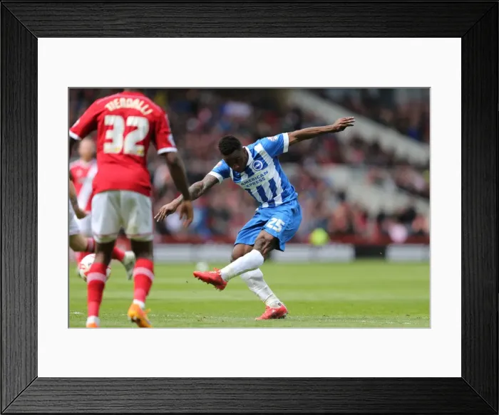 Framed Print : Brighton's LuaLua Thrives in Middlesbrough Showdown, May 2015 Framed Print : Brighton's LuaLua Thrives in Middlesbrough Showdown, May 2015