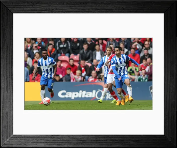 Framed Print : Brighton's Kayal in Action Against Middlesbrough (02MAY15) Framed Print : Brighton's Kayal in Action Against Middlesbrough (02MAY15)