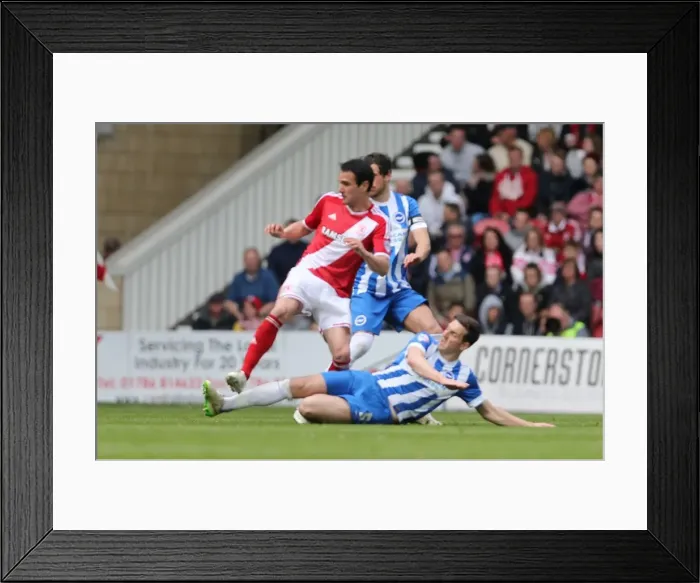 Framed Print : Championship Showdown: Middlesbrough vs. Brighton & Hove Albion at Riverside Stadium (02MAY15) Framed Print : Championship Showdown: Middlesbrough vs. Brighton & Hove Albion at Riverside Stadium (02MAY15)