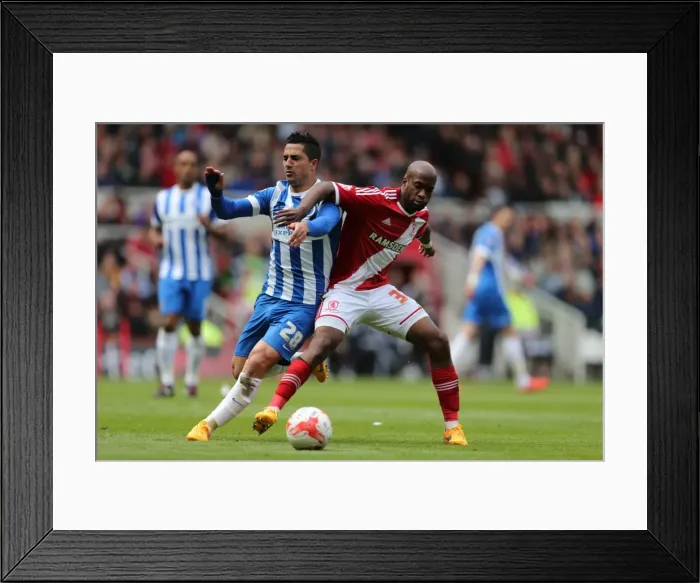 Framed Print : Brighton's Kayal Fights for Victory: Middlesbrough vs. Brighton & Hove Albion, May 2015 Framed Print : Brighton's Kayal Fights for Victory: Middlesbrough vs. Brighton & Hove Albion, May 2015