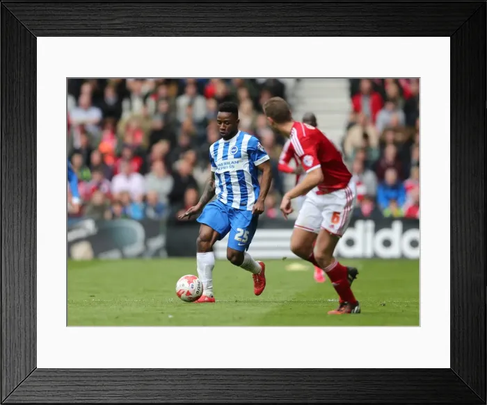 Framed Print : Kazenga LuaLua in Action: Middlesbrough vs. Brighton & Hove Albion, May 2015 (Sky Bet Championship) Framed Print : Kazenga LuaLua in Action: Middlesbrough vs. Brighton & Hove Albion, May 2015 (Sky Bet Championship)
