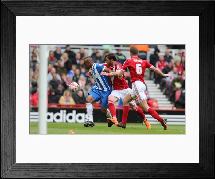 Framed Print : Chris O'Grady Faces Off: Middlesbrough vs. Brighton & Hove Albion, Sky Bet Championship Showdown (02MAY15) Framed Print : Chris O'Grady Faces Off: Middlesbrough vs. Brighton & Hove Albion, Sky Bet Championship Showdown (02MAY15)