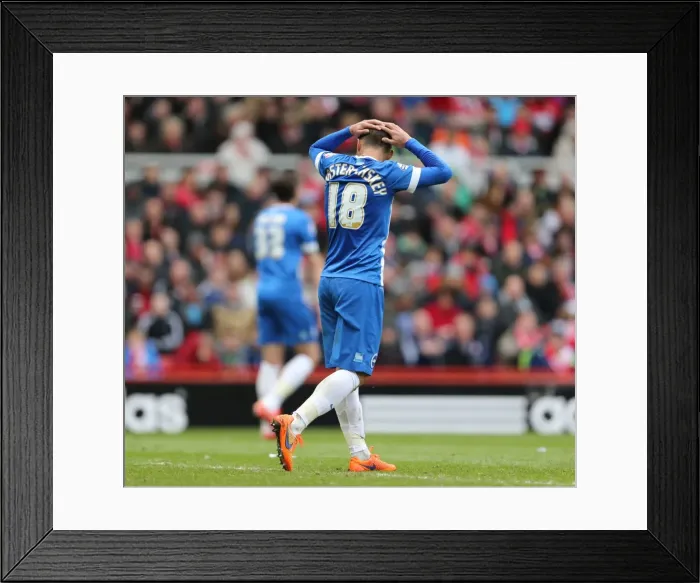 Framed Print : Jake Forster-Caskey in Action: Brighton and Hove Albion vs. Middlesbrough, May 2015 Framed Print : Jake Forster-Caskey in Action: Brighton and Hove Albion vs. Middlesbrough, May 2015