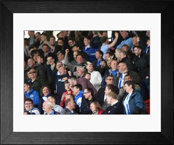 Framed Print : Brighton and Hove Albion Fans Unwavering Support at Middlesbrough Championship Match, May 2015 Framed Print : Brighton and Hove Albion Fans Unwavering Support at Middlesbrough Championship Match, May 2015