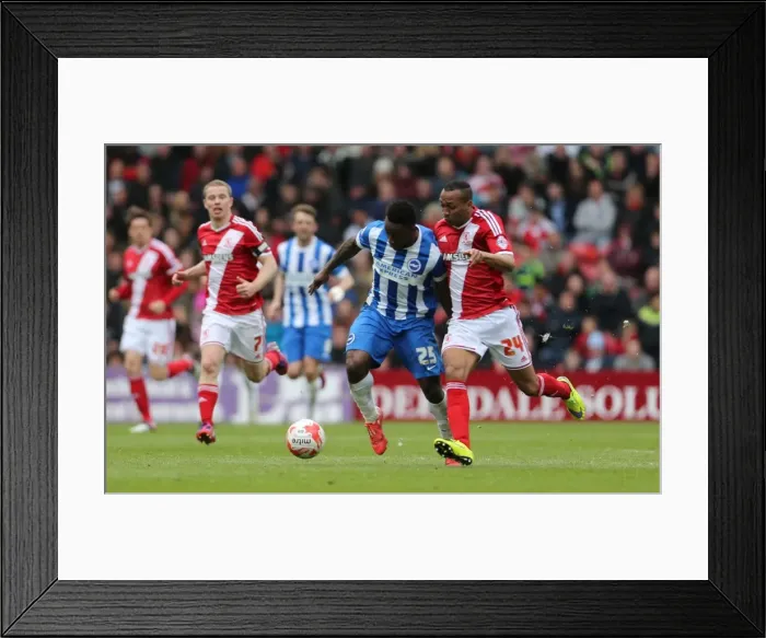 Framed Print : LuaLua in Action: Middlesbrough vs. Brighton & Hove Albion, May 2015 Framed Print : LuaLua in Action: Middlesbrough vs. Brighton & Hove Albion, May 2015