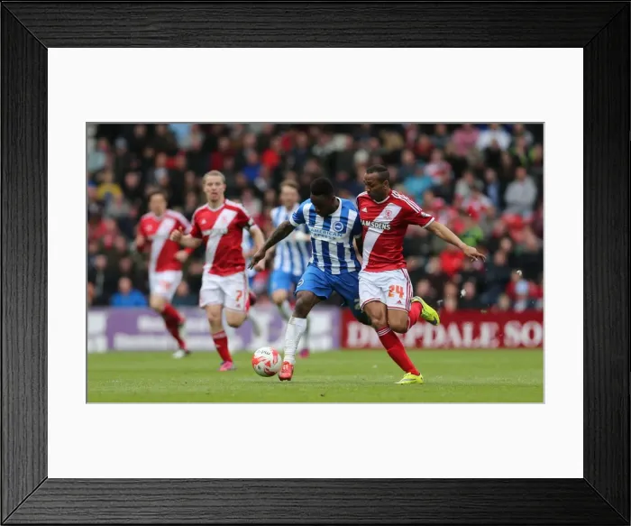 Framed Print : LuaLua's Brilliant Performance: Brighton Triumphs Over Middlesbrough in May 2015 Showdown Framed Print : LuaLua's Brilliant Performance: Brighton Triumphs Over Middlesbrough in May 2015 Showdown
