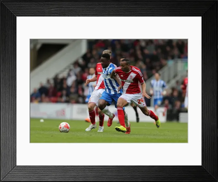 Framed Print : Brighton's LuaLua Shines in Middlesbrough Showdown, May 2015 Framed Print : Brighton's LuaLua Shines in Middlesbrough Showdown, May 2015