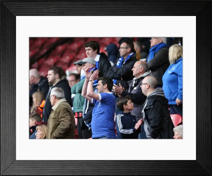Framed Print : Brighton and Hove Albion Fans in Full Force at Middlesbrough Championship Match, May 2015 Framed Print : Brighton and Hove Albion Fans in Full Force at Middlesbrough Championship Match, May 2015