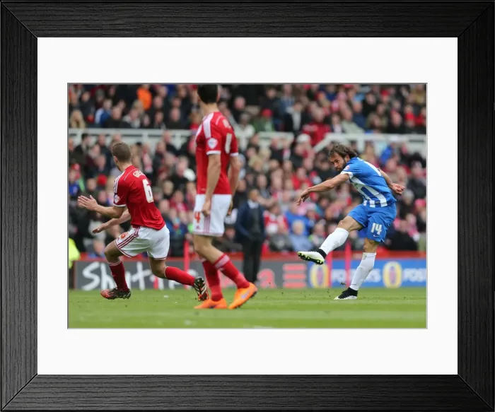 Framed Print : Inigo Calderon in Action: Middlesbrough vs. Brighton & Hove Albion, May 2015 (Sky Bet Championship) Framed Print : Inigo Calderon in Action: Middlesbrough vs. Brighton & Hove Albion, May 2015 (Sky Bet Championship)