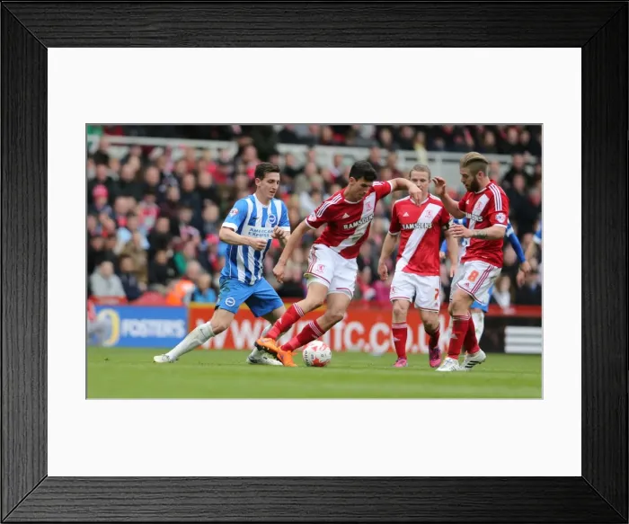 Framed Print : Clash in the Championship: Middlesbrough vs. Brighton & Hove Albion (02MAY15) Framed Print : Clash in the Championship: Middlesbrough vs. Brighton & Hove Albion (02MAY15)