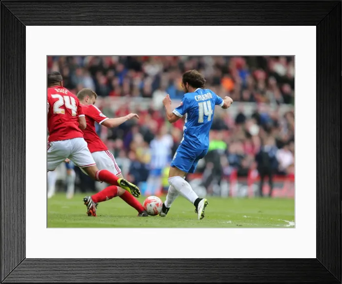 Framed Print : Inigo Calderon in Action: Middlesbrough vs. Brighton & Hove Albion, May 2015 (Sky Bet Championship) Framed Print : Inigo Calderon in Action: Middlesbrough vs. Brighton & Hove Albion, May 2015 (Sky Bet Championship)