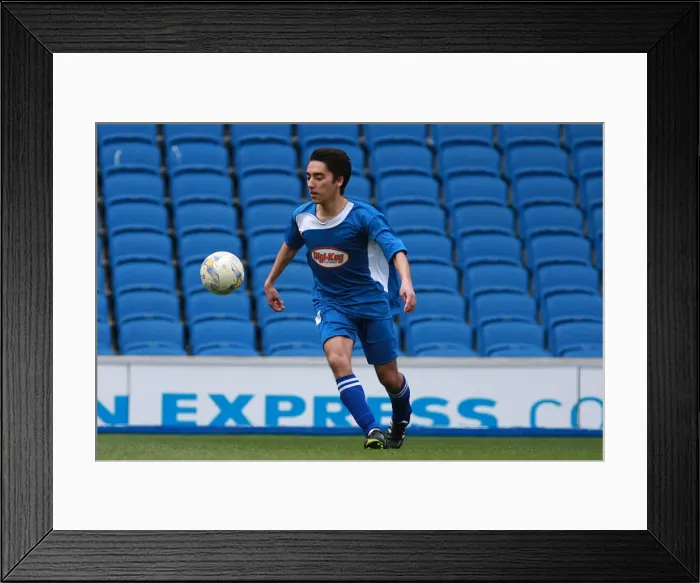 Framed Print : Brighton & Hove Albion: Playing on the Pitch - May 2015 Framed Print : Brighton & Hove Albion: Playing on the Pitch - May 2015