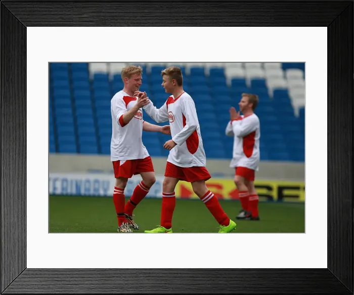 Framed Print : Brighton & Hove Albion: Playing on the Pitch (May 2015) Framed Print : Brighton & Hove Albion: Playing on the Pitch (May 2015)