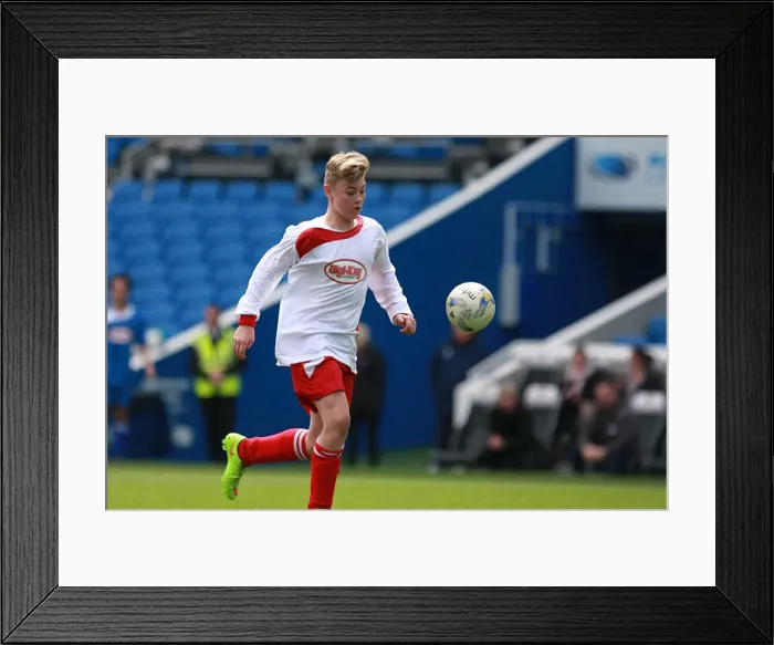 Framed Print : Brighton & Hove Albion: Playing on the Pitch - May 2015 Framed Print : Brighton & Hove Albion: Playing on the Pitch - May 2015