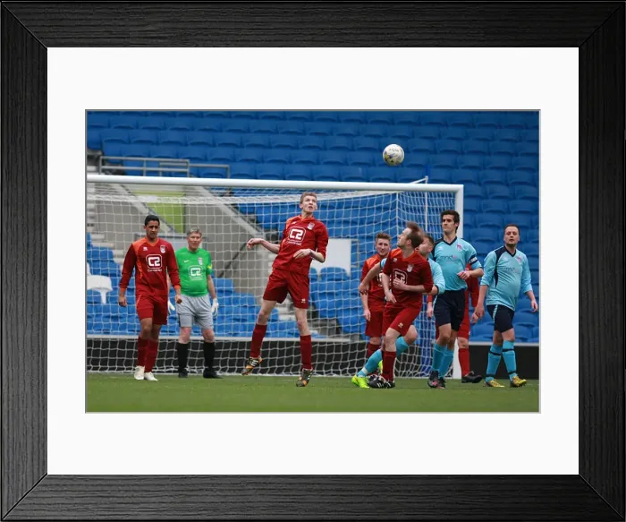 Framed Print : Brighton & Hove Albion: Ten Players in Action (May 1, 2015)