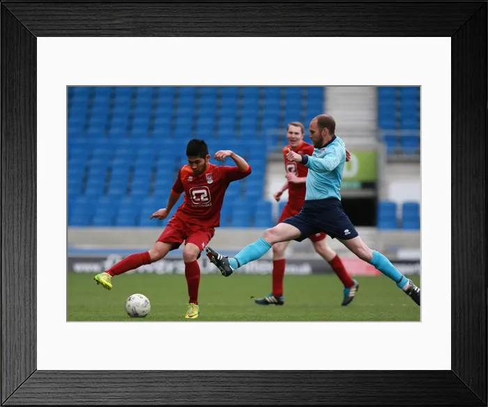 Framed Print : Brighton & Hove Albion: Ten Players in Action (May 1, 2015)