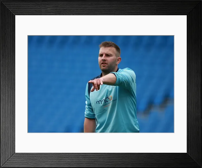 Framed Print : Brighton & Hove Albion: Ten Players in Action (May 1, 2015) Framed Print : Brighton & Hove Albion: Ten Players in Action (May 1, 2015)