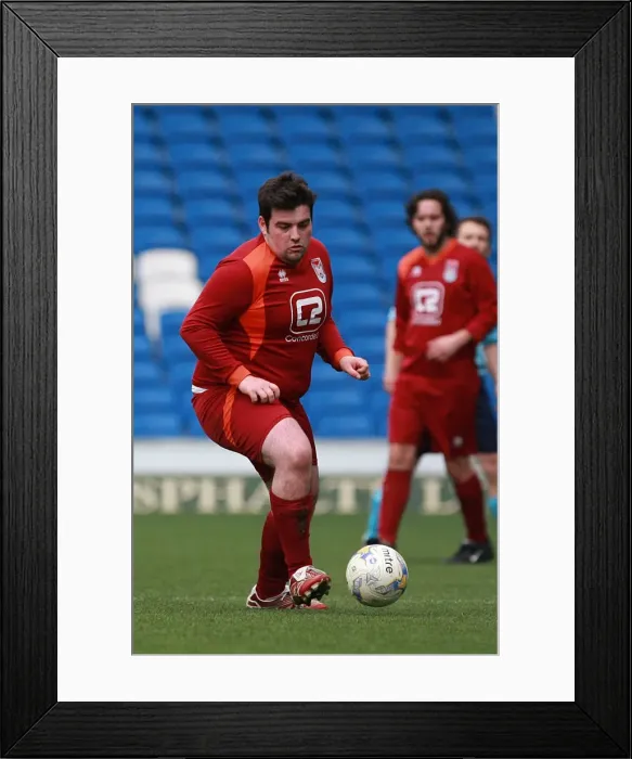 Framed Print : Brighton & Hove Albion: Ten Players in Action (May 1, 2015) Framed Print : Brighton & Hove Albion: Ten Players in Action (May 1, 2015)