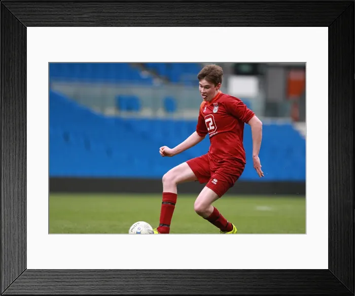 Framed Print : Brighton & Hove Albion: Ten Players in Action during the May 1, 2015 Match