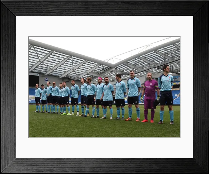 Framed Print : Brighton & Hove Albion: Ten Players in Action (May 1, 2015)
