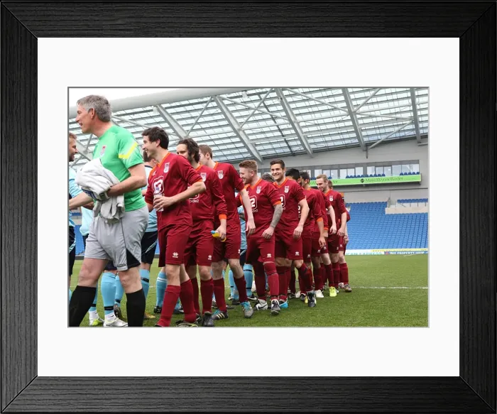 Framed Print : Brighton & Hove Albion: Ten Players in Action (May 1, 2015) Framed Print : Brighton & Hove Albion: Ten Players in Action (May 1, 2015)