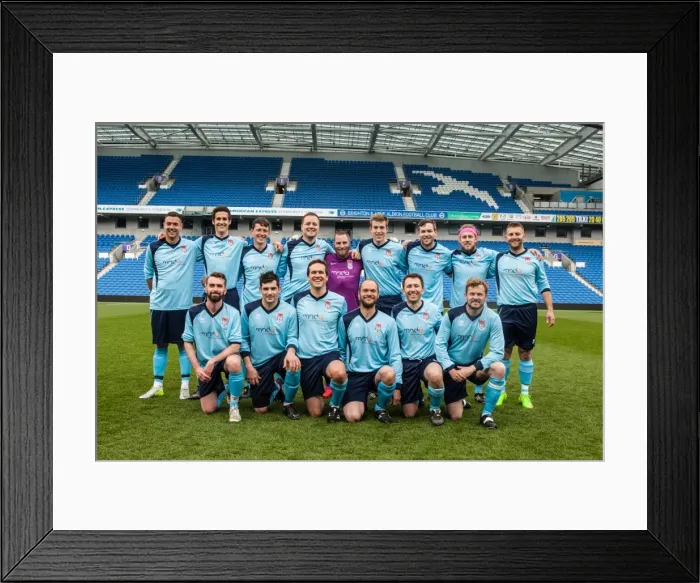 Framed Print : Brighton & Hove Albion: Ten Players in Action on the Pitch (May 1, 2015)