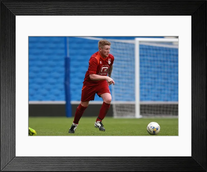 Framed Print : Brighton & Hove Albion: Ten Players in Action on the Pitch (May 1, 2015) Framed Print : Brighton & Hove Albion: Ten Players in Action on the Pitch (May 1, 2015)