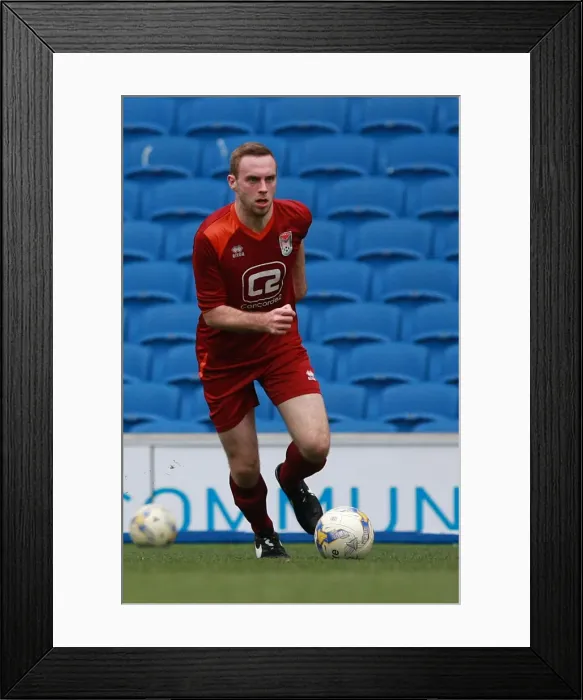 Framed Print : Brighton & Hove Albion: Ten Players in Action (May 1, 2015) Framed Print : Brighton & Hove Albion: Ten Players in Action (May 1, 2015)