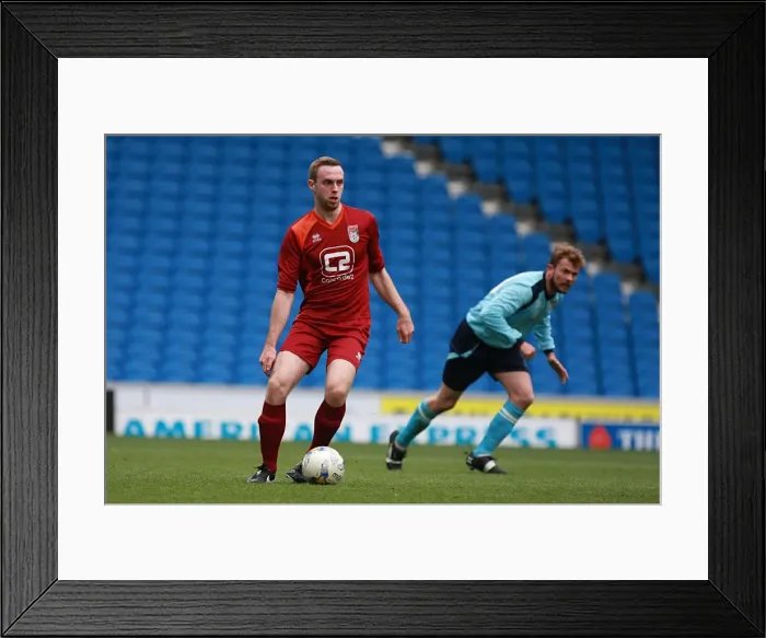 Framed Print : Brighton & Hove Albion: Ten Players in Action (May 1, 2015) Framed Print : Brighton & Hove Albion: Ten Players in Action (May 1, 2015)