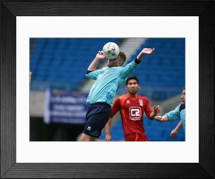 Framed Print : Brighton & Hove Albion: Ten Players in Action during the May 1, 2015 Match Framed Print : Brighton & Hove Albion: Ten Players in Action during the May 1, 2015 Match