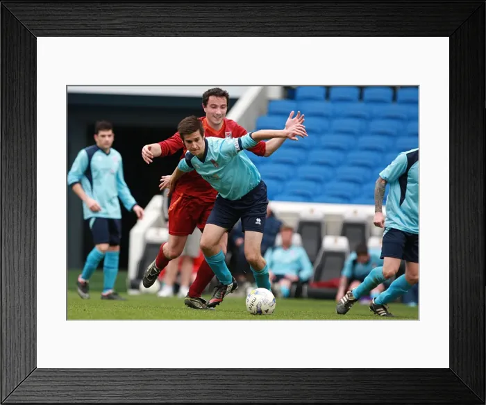 Framed Print : Brighton & Hove Albion: Ten Players in Action (May 1, 2015) Framed Print : Brighton & Hove Albion: Ten Players in Action (May 1, 2015)
