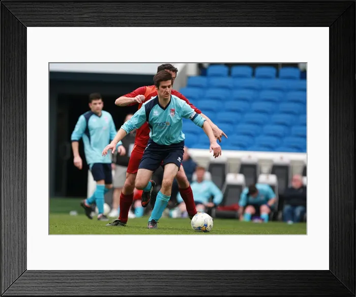 Framed Print : Brighton & Hove Albion: Ten Players in Action (May 1, 2015) Framed Print : Brighton & Hove Albion: Ten Players in Action (May 1, 2015)