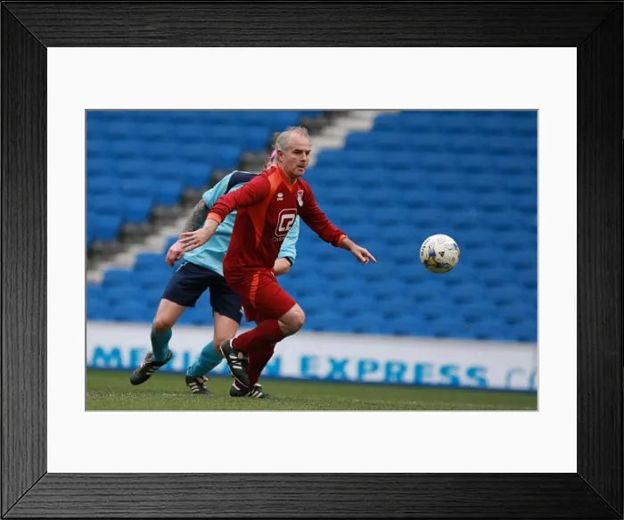 Framed Print : Brighton & Hove Albion: Ten Players in Action (May 1, 2015) Framed Print : Brighton & Hove Albion: Ten Players in Action (May 1, 2015)