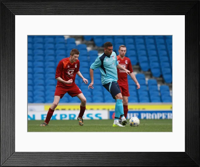 Framed Print : Brighton & Hove Albion: Ten Players in Action (May 1, 2015) Framed Print : Brighton & Hove Albion: Ten Players in Action (May 1, 2015)
