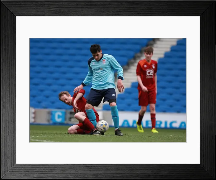 Framed Print : Brighton & Hove Albion: Ten Players in Action (May 1, 2015) Framed Print : Brighton & Hove Albion: Ten Players in Action (May 1, 2015)