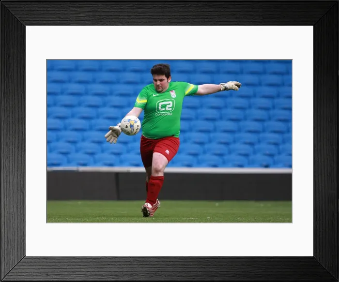 Framed Print : Brighton & Hove Albion: Ten Players in Action (May 1, 2015) Framed Print : Brighton & Hove Albion: Ten Players in Action (May 1, 2015)