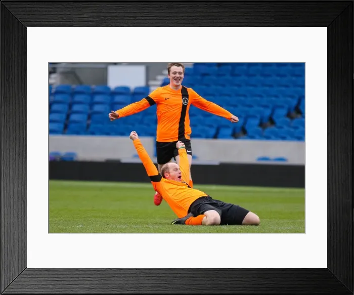 Framed Print : Brighton & Hove Albion: Play on the Pitch - May 1, 2015 (Eve) Framed Print : Brighton & Hove Albion: Play on the Pitch - May 1, 2015 (Eve)