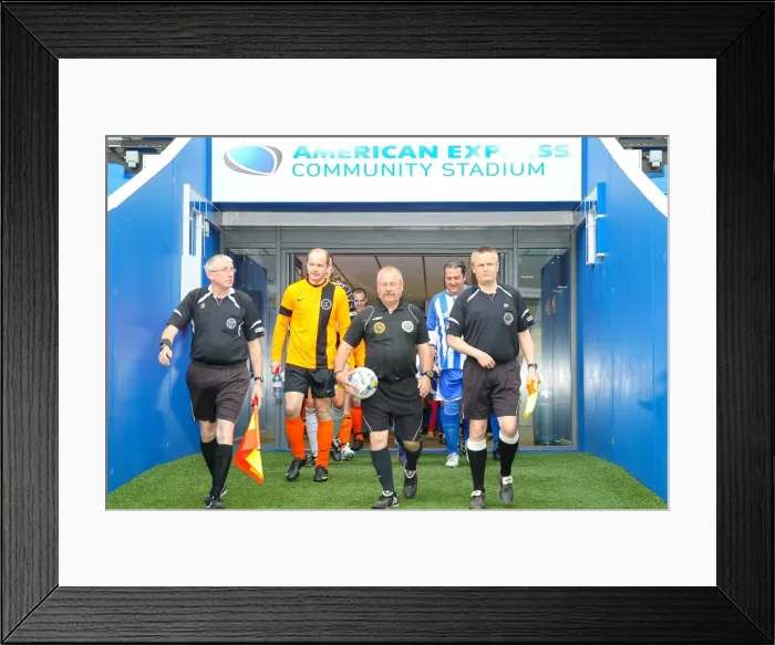 Framed Print : Brighton & Hove Albion: Play on the Pitch - American Express Community Stadium (1st May 2015)