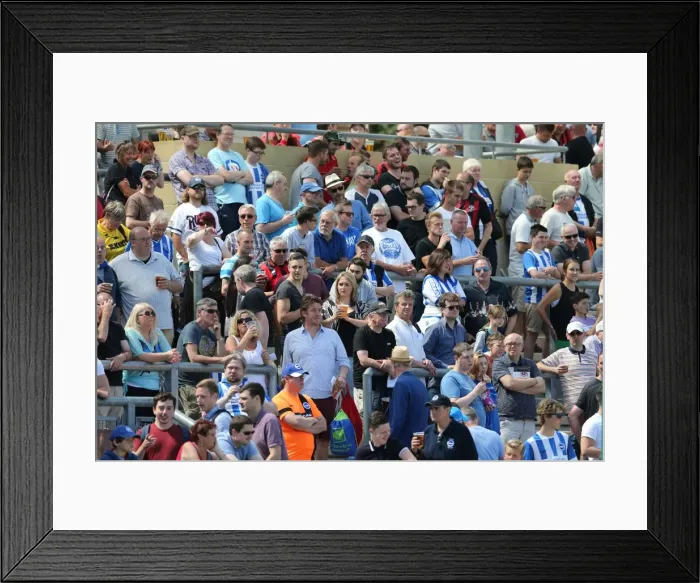 Framed Print : Brighton and Hove Albion vs Lewes: Pre-Season Friendly Clash at Dripping Pan (18 July 2015) Framed Print : Brighton and Hove Albion vs Lewes: Pre-Season Friendly Clash at Dripping Pan (18 July 2015)