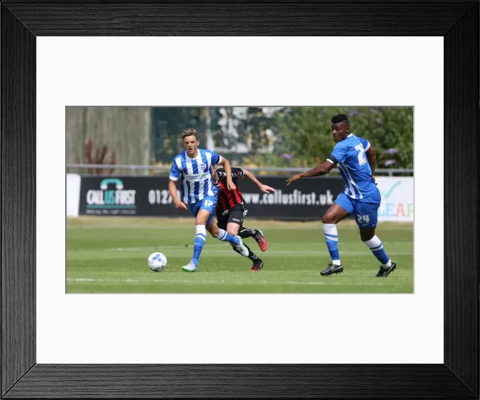 Framed Print : Brighton and Hove Albion vs Lewes: Pre-Season Friendly Clash at Dripping Pan (18th July 2015) Framed Print : Brighton and Hove Albion vs Lewes: Pre-Season Friendly Clash at Dripping Pan (18th July 2015)